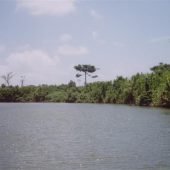  Monkey River, Belize